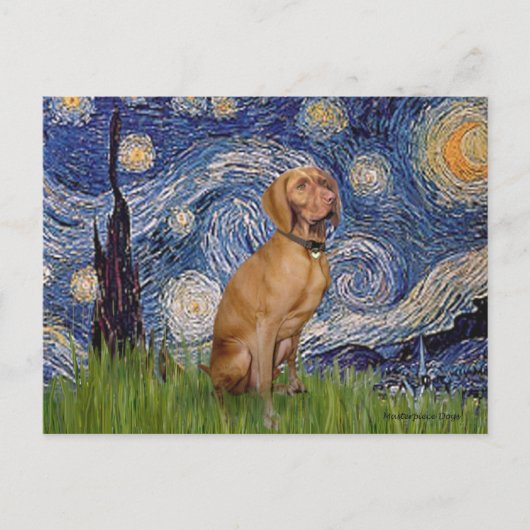 Starnacht - -Vizsla 2 Briefkaart (Voorkant)