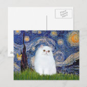Starnacht - Witte Perzische kitten Briefkaart (Voorkant / Achterkant)