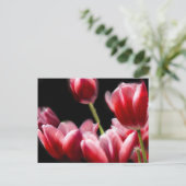 STARRED PINK TULIPS BRIEFKAART (Staand voorkant)