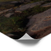 Starr's Mill Poster (Hoek)