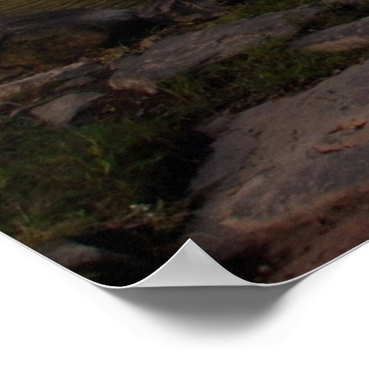 Starr's Mill Poster (Hoek)