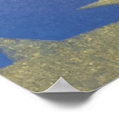 Starry Blue en Gold Poster (Hoek)