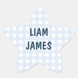 Starry Gingham Baby Boy Envelope Sticker