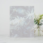 Starry Magnolia 3172 (Staand voorkant)