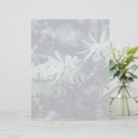 Starry Magnolia 3172 (Staand voorkant)