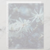 Starry Magnolia 3172 (Voorkant / Achterkant)