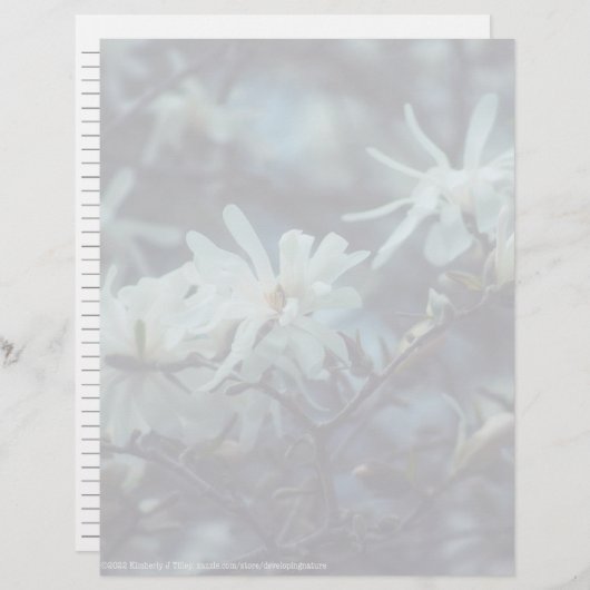 Starry Magnolia 3172 (Voorkant / Achterkant)