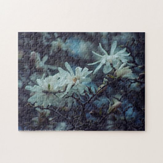 Starry Magnolia 3172 Legpuzzel (Horizontaal)