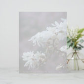 Starry Magnolia 5780 (Staand voorkant)