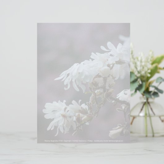 Starry Magnolia 5780 (Staand voorkant)