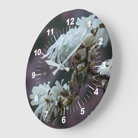 Starry Magnolia 5780 Grote Klok (Hoek)