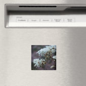 Starry Magnolia 5780 Magneet (Insitu (Vaatwasser))