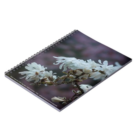 Starry Magnolia 5780 Notitieboek (Linkerzijde)