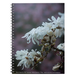 Starry Magnolia 5780 Notitieboek