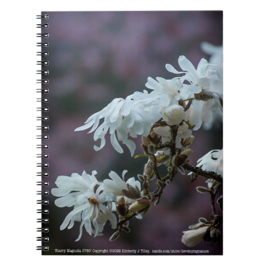 Starry Magnolia 5780 Notitieboek (Voorkant)