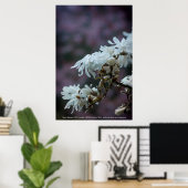 Starry Magnolia 5780 Poster (Thuiskantoor)