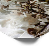 Starry Magnolia 5781 Foto Afdruk (Hoek)