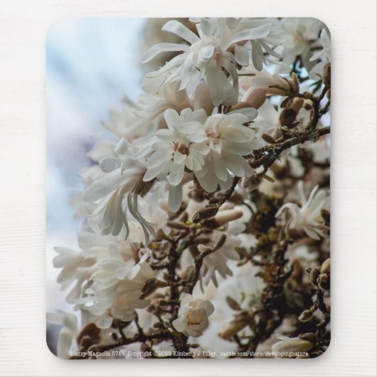 Starry Magnolia 5781 Muismat (Voorkant)