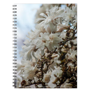 Starry Magnolia 5781 Notitieboek
