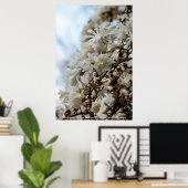Starry Magnolia 5781 Poster (Thuiskantoor)