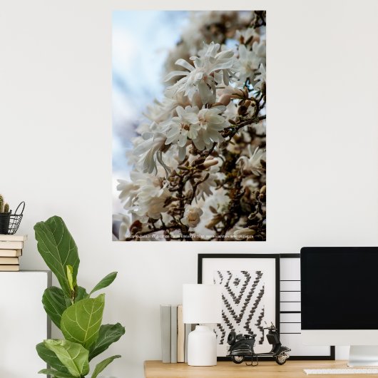 Starry Magnolia 5781 Poster (Thuiskantoor)