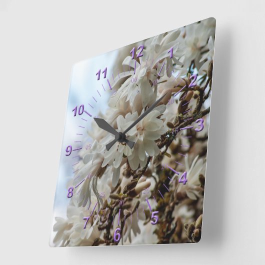 Starry Magnolia 5781 Vierkante Klok (Hoek)