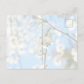 Starry Magnolia 6490 Briefkaart (Achterkant)