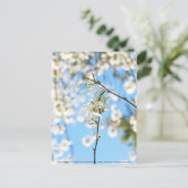 Starry Magnolia 6490 Briefkaart (Staand voorkant)