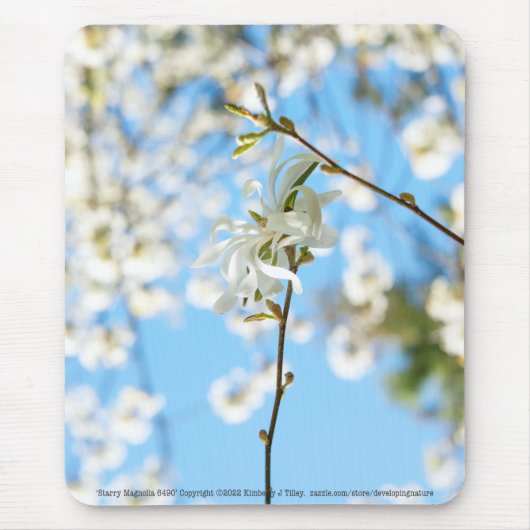 Starry Magnolia 6490 Muismat (Voorkant)