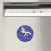 Starry Mare Magnet (Insitu (Vaatwasser))