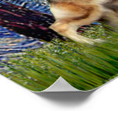 Starry Night - German Shepherd 13 Poster (Hoek)