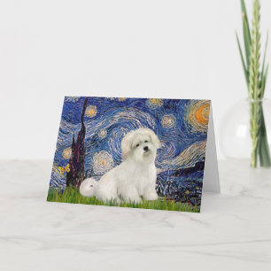 Starry Night - Tulear 7 Coton Kaart