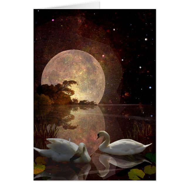 Starry River (Voorkant)