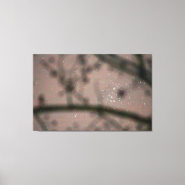 Starry Skies die door boomtakken worden gezien Canvas Afdruk