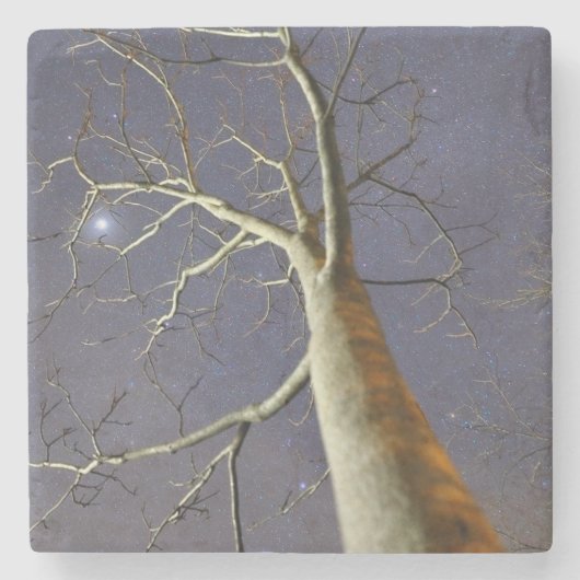 Starry_tree_coaster Stenen Onderzetter (Voorkant)