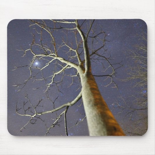 Starry_Tree_Mousepad Muismat (Voorkant)