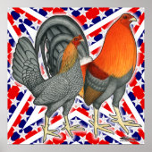 Stars en Stripes Gamefowl Poster (Voorkant)