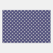 Stars en Stripes Patriottic American Flag Verenigd Inpakpapier Vel (Voorkant 2)