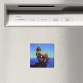 Stars Magnet (Insitu (Vaatwasser))