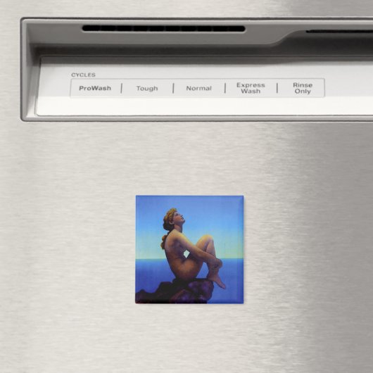 Stars Magnet (Insitu (Vaatwasser))