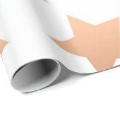Stars patroon cadeaupapier (Rol Hoek)