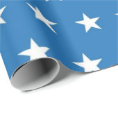 Stars patroon cadeaupapier (Rol Hoek)