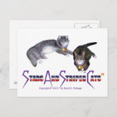 StarsAndStripesCats-Briefkaarten Briefkaart (Voorkant / Achterkant)