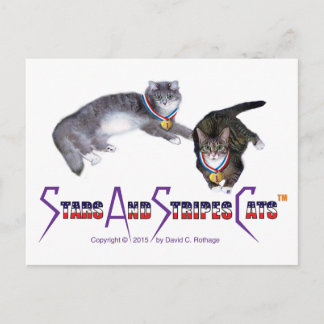 StarsAndStripesCats-Briefkaarten Briefkaart