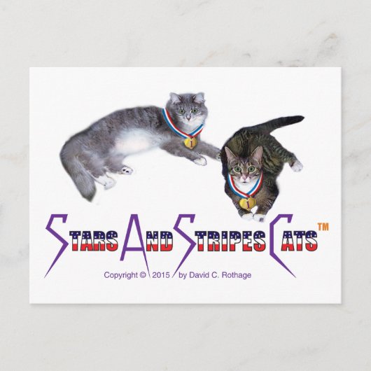 StarsAndStripesCats-Briefkaarten Briefkaart (Voorkant)