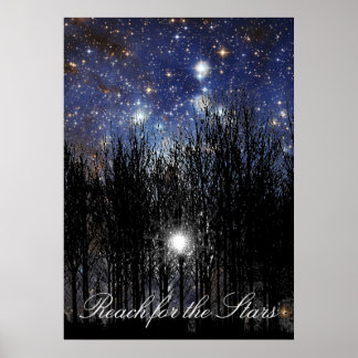 Starscape en bomen: Bereik - Poster