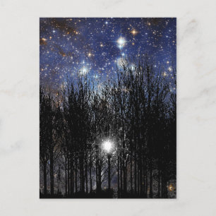 Starscape en Bomen - Briefkaart