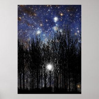 Starscape en Bomen - Poster