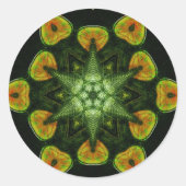 STARSEED Sticker (Voorkant)