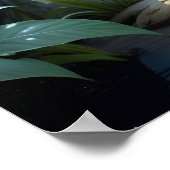 Starstruck AI Fantasy Digitale Kunst Print Kikker (Hoek)